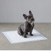 Dog and Puppy Leak-proof 5-Layer Potty Training Pads with Quick-dry Surface