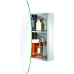 Stainless Steel Oval Medicine Cabinet