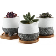 Ceramic Succulent Cactus Planters