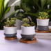 Ceramic Succulent Cactus Planters