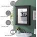 Mirrored Wall-Mounted Storage Medicine Cabinet
